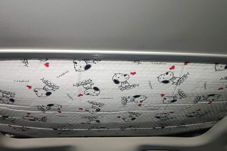 Used MG EZS Electric 2019 E-Pro Edition Headliner