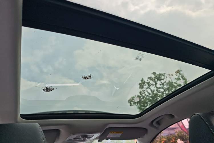 Used MG EZS Electric 2019 E-Plus Edition Headliner