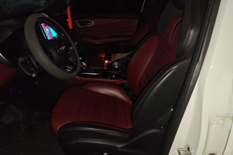 Used MG HS 2019 30T Automatic 2WD Trophy Supreme Edition China VI Standard Left Front Seat