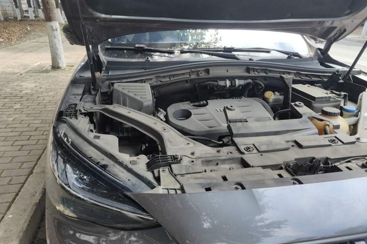 Used MG Pilot 2021 300TGI Automatic Two-Wheel Drive Trophy Prestige Edition Engine Bay Right