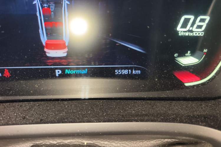 Used MG Pilot 2021 400TGI Automatic Two-Wheel Drive Trophy Flagship Edition Odometer Close Up