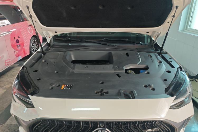 Used MG Pilot 2021 300TGI Automatic Two-Wheel Drive Trophy Prestige Edition Engine Bay