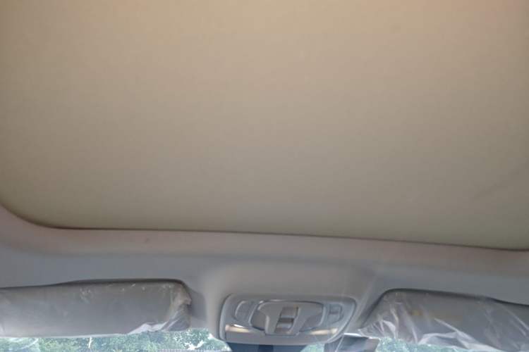 Used MG Pilot 2021 300TGI Automatic Two-Wheel Drive Fuel-Efficient Luxury Edition Headliner