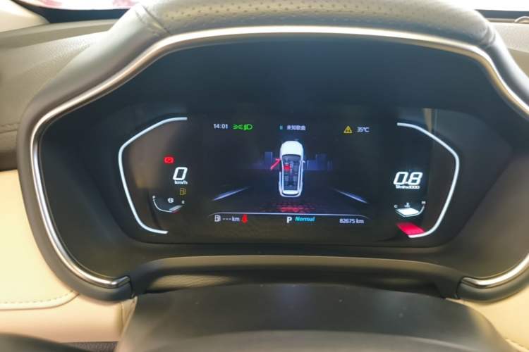 Used MG Pilot 2021 300TGI Automatic Two-Wheel Drive Trophy Prestige Edition Instrument Cluster