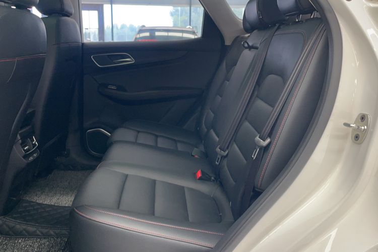 Used MG Pilot 2021 300TGI Automatic Two-Wheel Drive Fuel-Efficient Luxury Edition Left Rear Seat