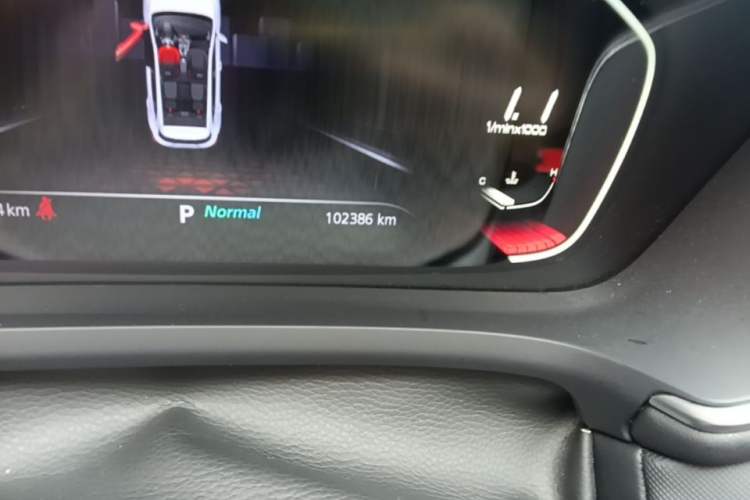 Used MG Pilot 2021 300TGI Automatic Two-Wheel Drive Trophy Prestige Edition Odometer Close Up