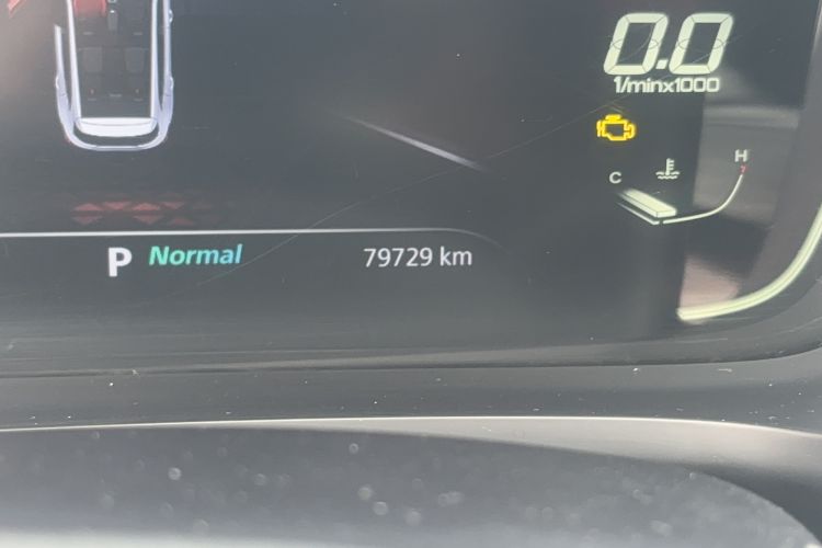 Used MG Pilot 2021 300TGI Automatic Two-Wheel Drive Trophy Deluxe Edition Odometer Close Up