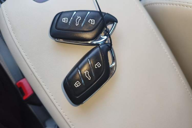 Used MG Pilot New Energy 2021 Trophy Series 1.5T Hybrid Trophy Deluxe Edition Interior 1