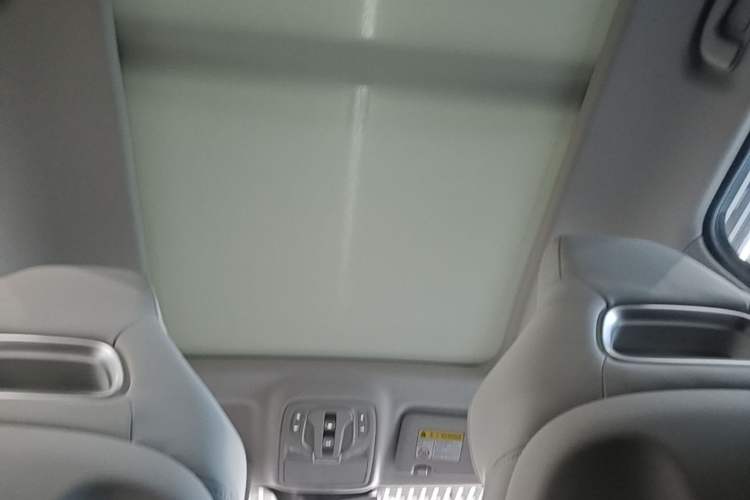 Used MG Pilot New Energy 2021 Trophy Series 1.5T Hybrid Trophy Deluxe Edition Headliner