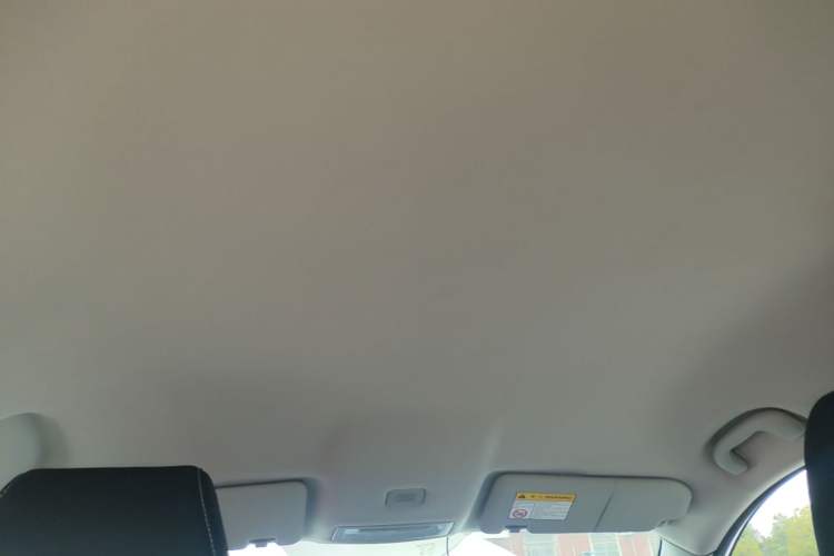 Used MG ZS 2018 1.5L Manual Fashion Edition China V-standard Headliner