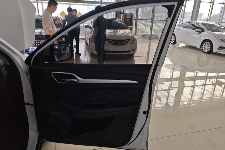 Used MG ZS 2018 1.5L Automatic Luxury Edition China V Standard Right Front Door Interior