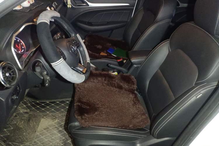 Used MG ZS 2019 1.5L Automatic Global Luxury Edition China VI Standard Left Front Seat
