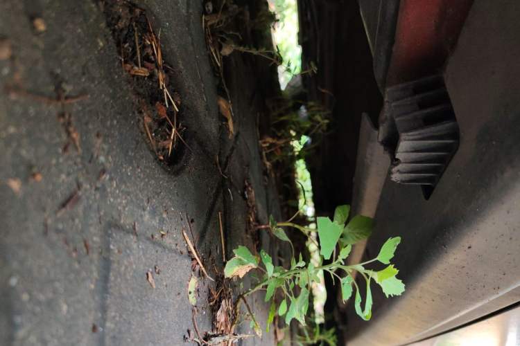 Used MINI Clubman 2011 1.6L COOPER Fun Chassis Rear Right
