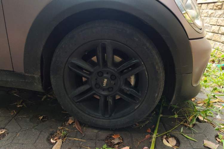 Used MINI Clubman 2011 1.6L COOPER Fun Right Front Wheel Hub
