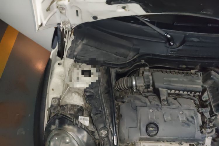 Used MINI Clubman 2011 1.6L ONE Engine Bay Right