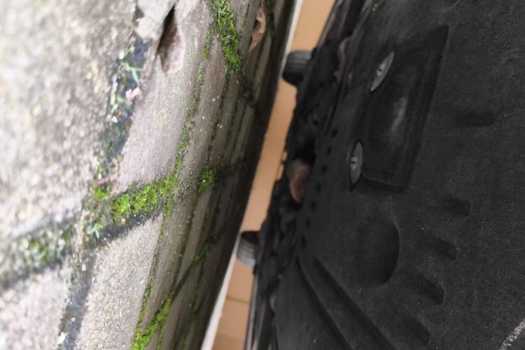 Used MINI Clubman 2019 1.5T ONE Chassis Front