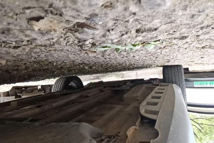 Used MINI Countryman 2011 1.6L COOPER Fun Chassis Rear Left