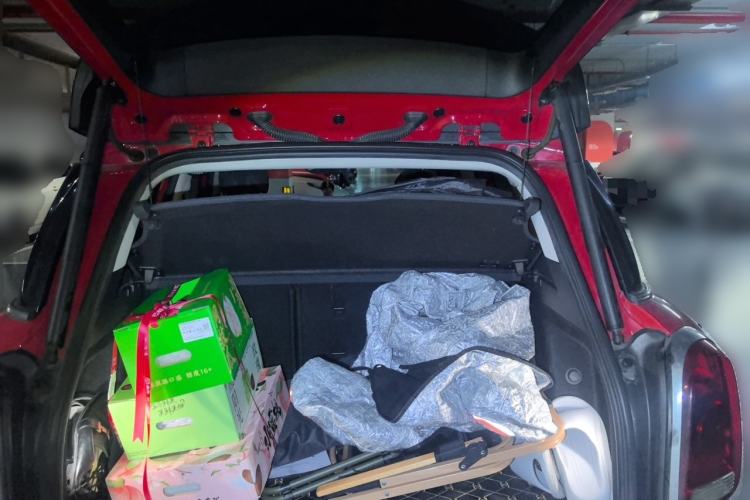 Used MINI Countryman 2018 2.0T COOPER S ALL4 Artist Trunk