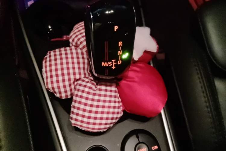 Used MINI Countryman 2020 2.0T COOPER S ALL4 Polar Edition Gear Lever