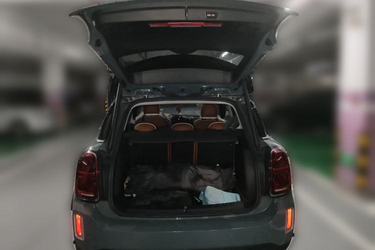 Used MINI Countryman 2021 2.0T COOPER S ALL4 Trunk