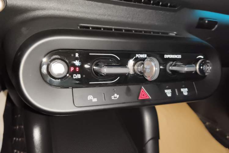 Used MINI Electric ACEMAN 2024 E Classic Edition Gear Lever