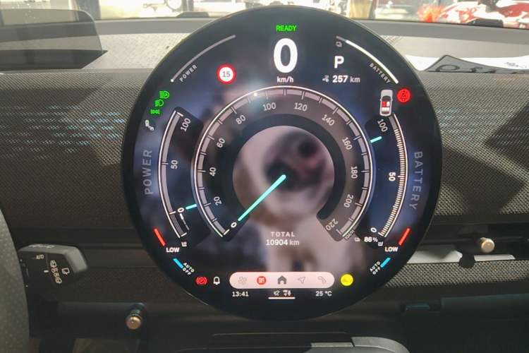 Used MINI Electric ACEMAN 2024 SE Racing Driver Instrument Cluster