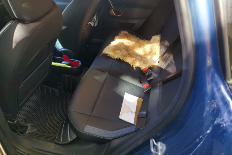 Used MINI Electric ACEMAN 2024 E Classic Edition Left Rear Seat