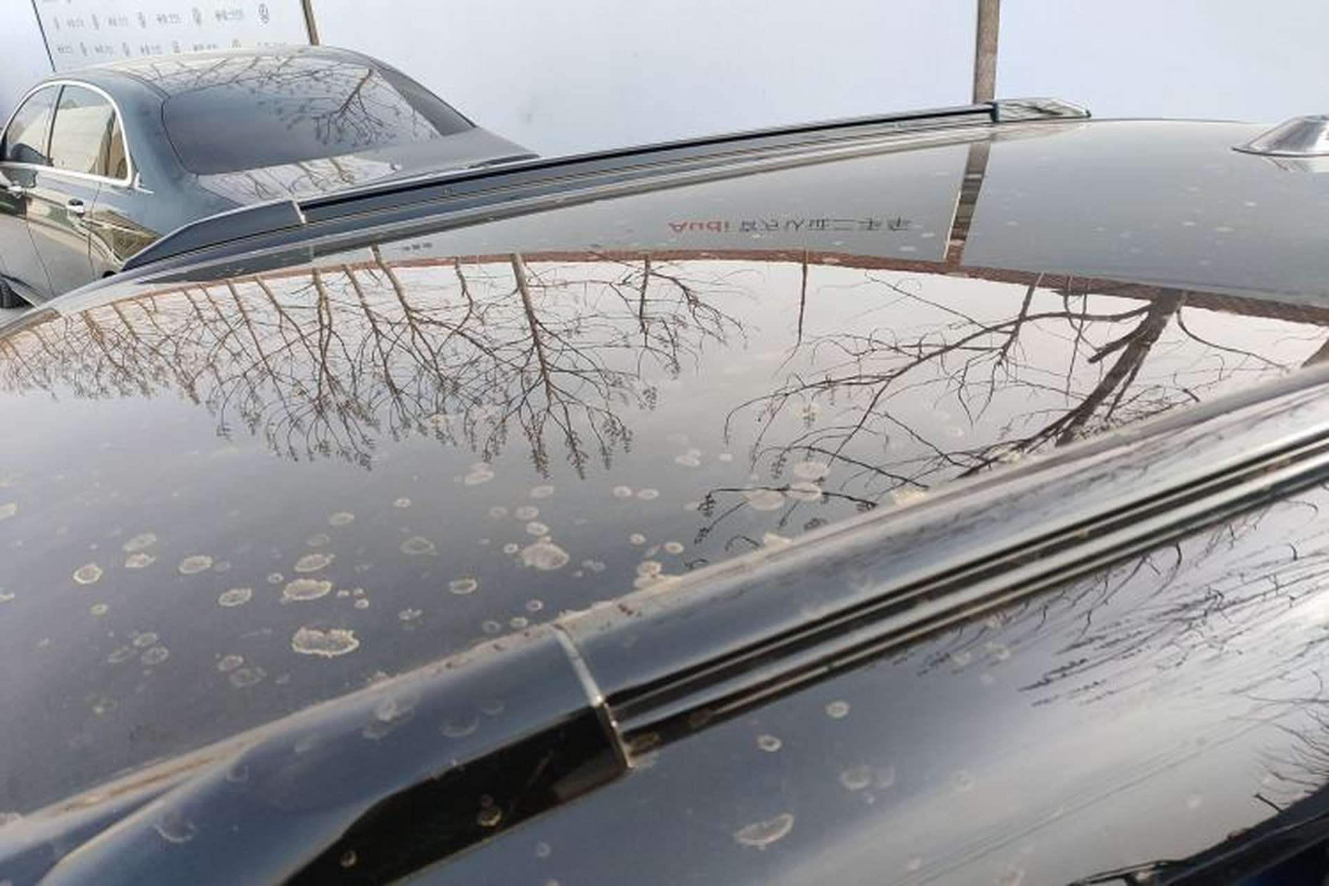 Used MINI Electric ACEMAN 2024 E Classic Edition Roof