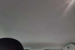 Thumbnail 19