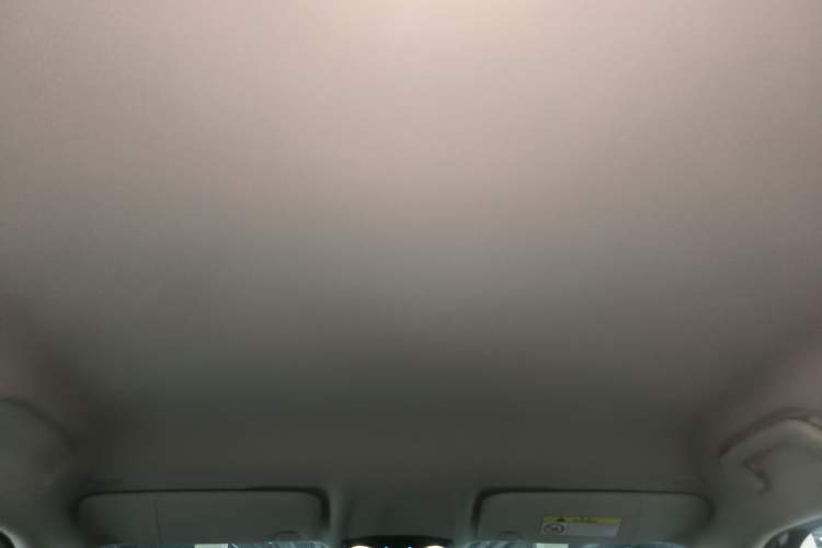 Used MINI Electric ACEMAN 2024 E Classic Edition Headliner