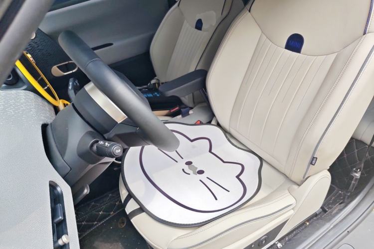 Used MINI Electric COOPER  Left Front Seat