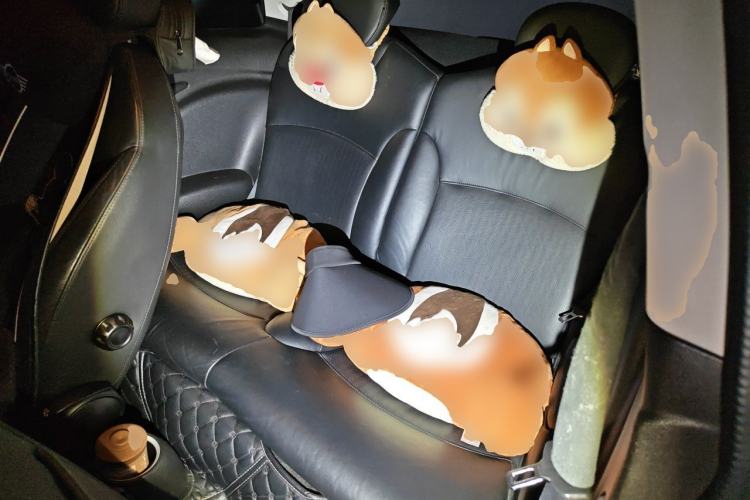 Used MINI 2007 1.6L COOPER Excitement Left Rear Seat