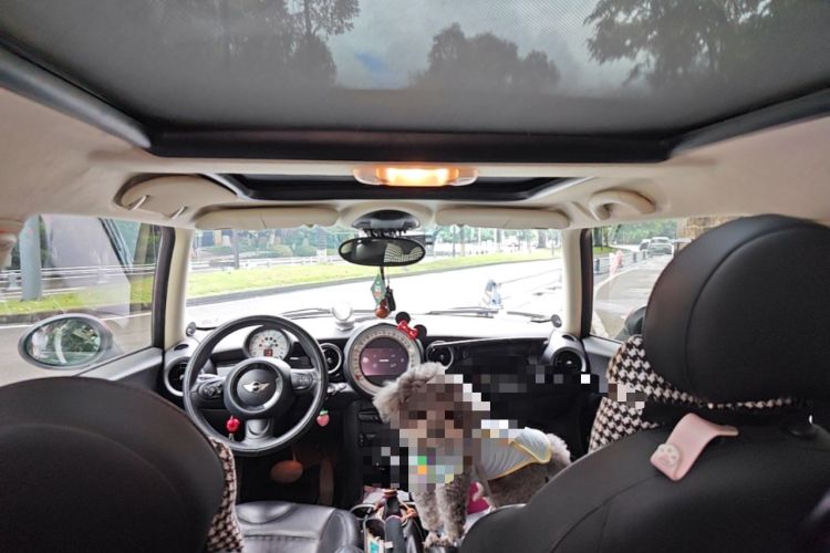 Used MINI 2012 1.6L COOPER Bayswater Headliner