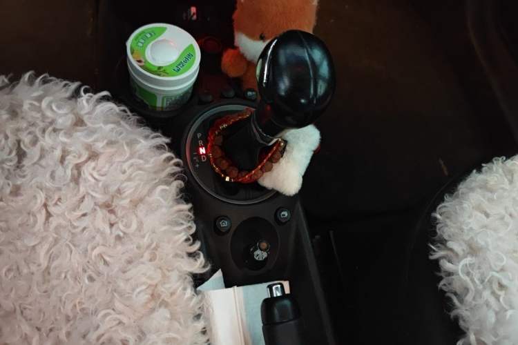 Used MINI 2012 1.6L COOPER Baker Street Gear Lever