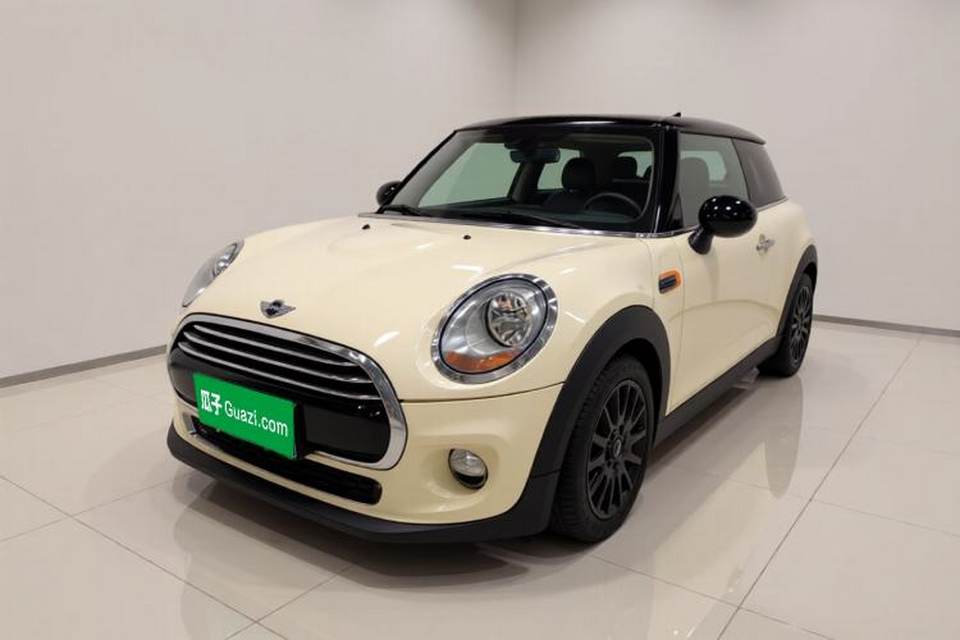 MINI MINI 2014