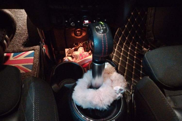 Used MINI 2014 2.0T COOPER S Fun Gear Lever