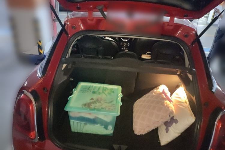 Used MINI 2015 1.2T ONE Five-Door Edition Trunk