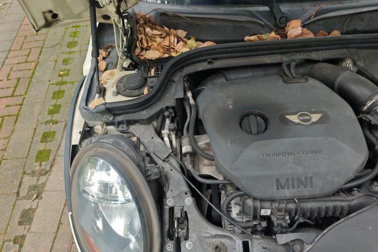 Used MINI 2016 1.5T COOPER Five-Door Edition Engine Bay Right