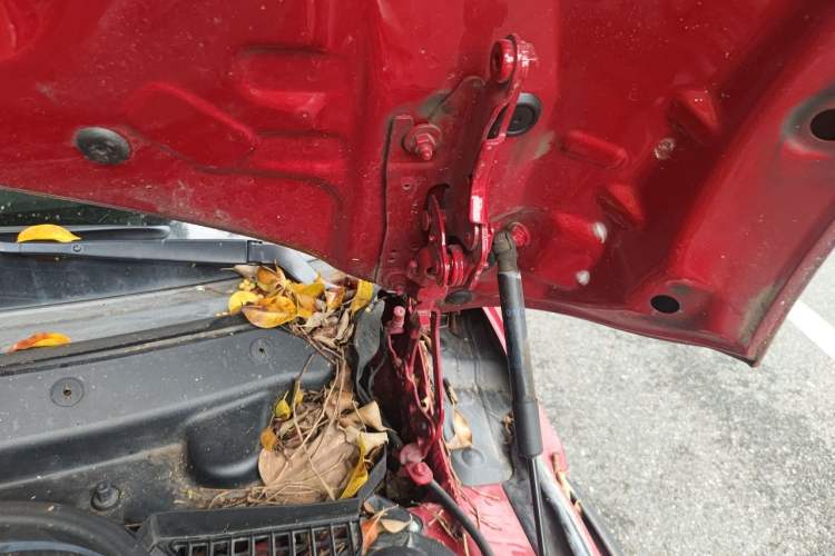 Used MINI 2016 1.5T COOPER Engine Bay Left
