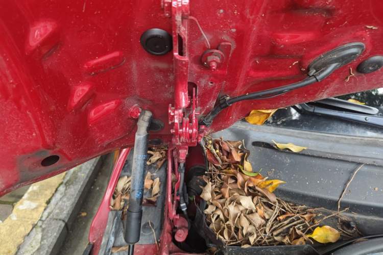 Used MINI 2016 1.5T COOPER Engine Bay Right