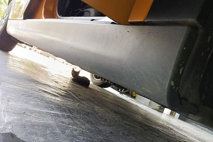 Used MINI 2016 1.5T COOPER Five-Door Edition Right Side Sill