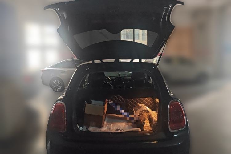 Used MINI  Trunk