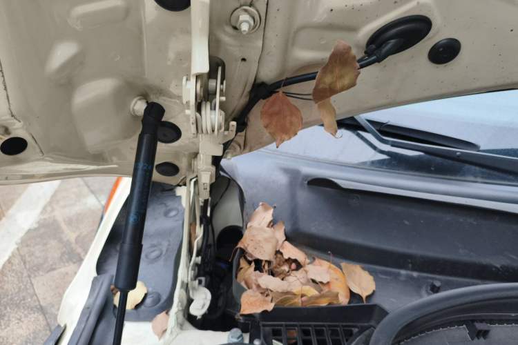 Used MINI 2018 1.5T ONE PLUS Engine Bay Right