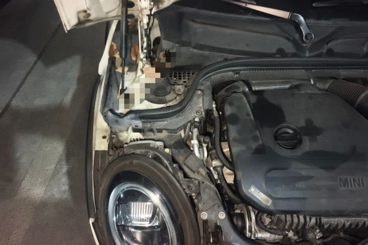 Used MINI 2018 1.5T COOPER Classic Edition Engine Bay Right