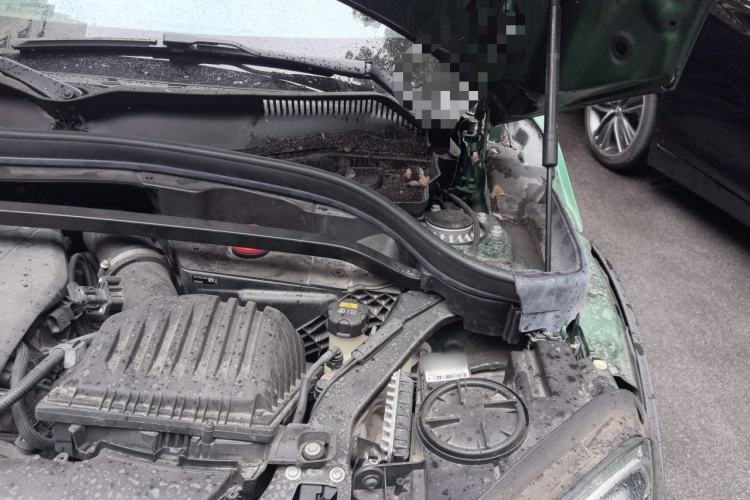 Used MINI 2019 2.0T COOPER S Artist Engine Bay Left