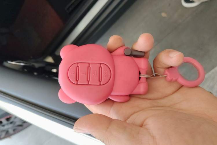 Used MINI 2019 1.5T ONE PLUS Vehicle Key