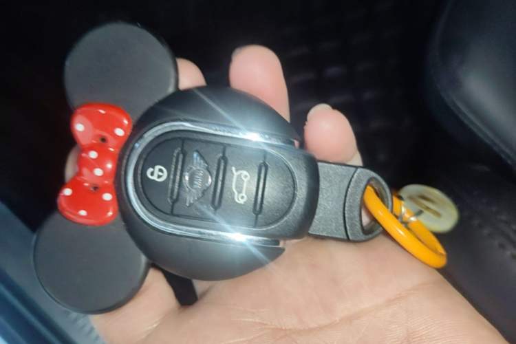 Used MINI 2022 Updated 1.5T COOPER Artist Five-Door Edition Vehicle Key