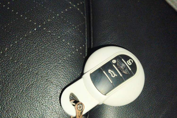 Used MINI 2022 1.5T COOPER Artist Vehicle Key