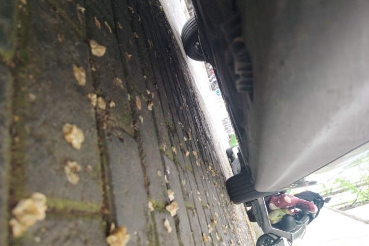 Used MINI 2023 1.5T ONE Five-Door Edition Chassis Front Left