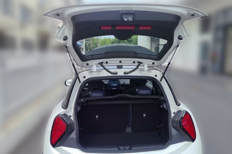 Used MINI 2025 2.0T COOPER S Artist Trunk